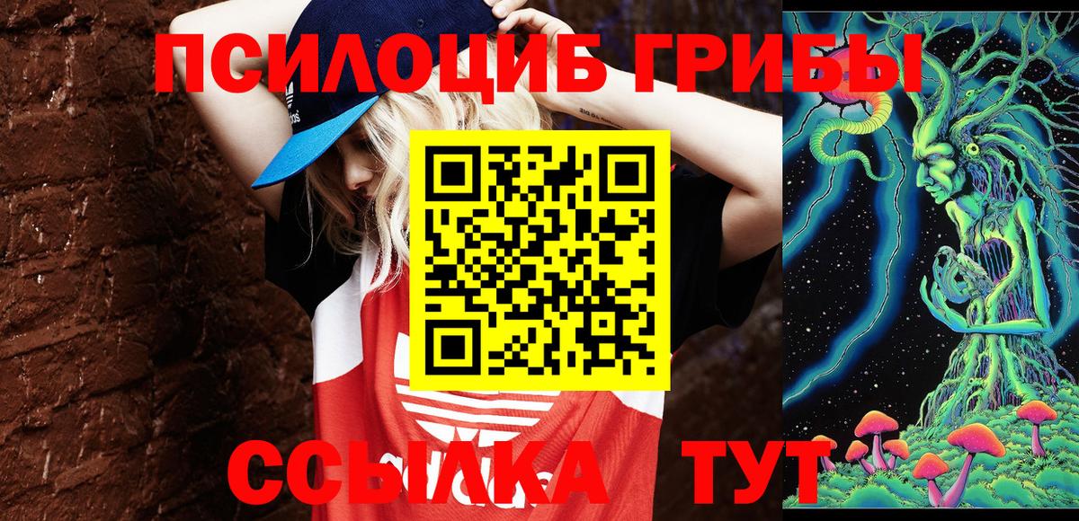 Брянск  как найти закладки  Вход с VPN  Псилоцибиновые грибы MAGIC MUSHROOMS 
