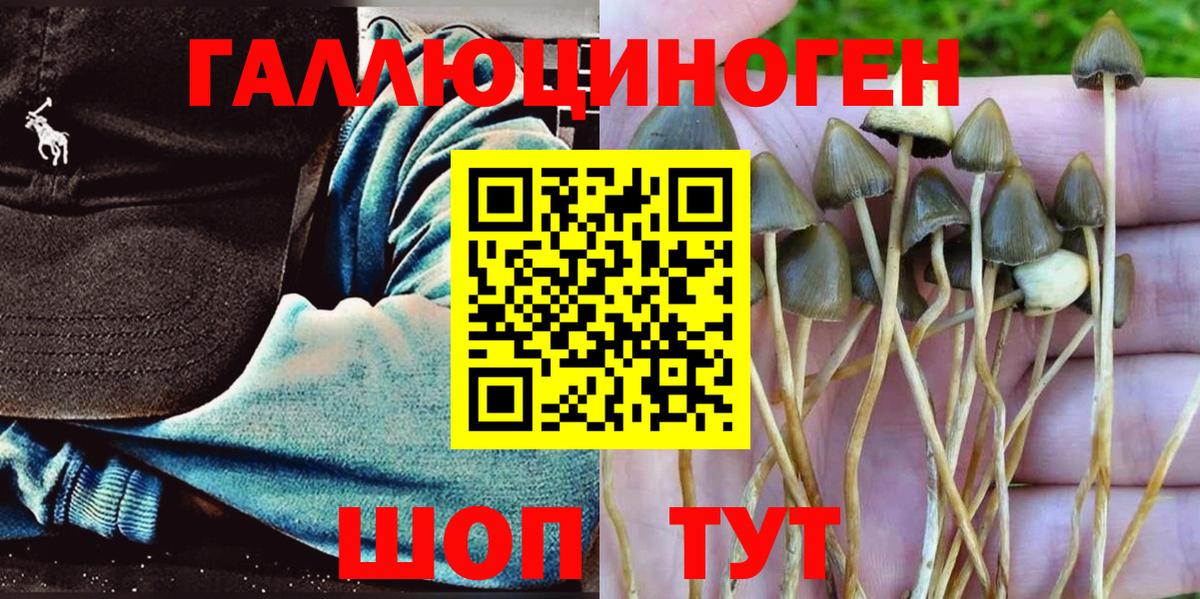 Псилоцибиновые грибы Magic Shrooms Брянск